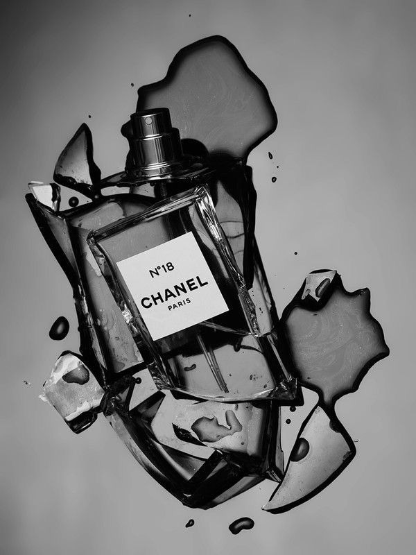 Fragrance, Fashion, and the Power of First Impressions